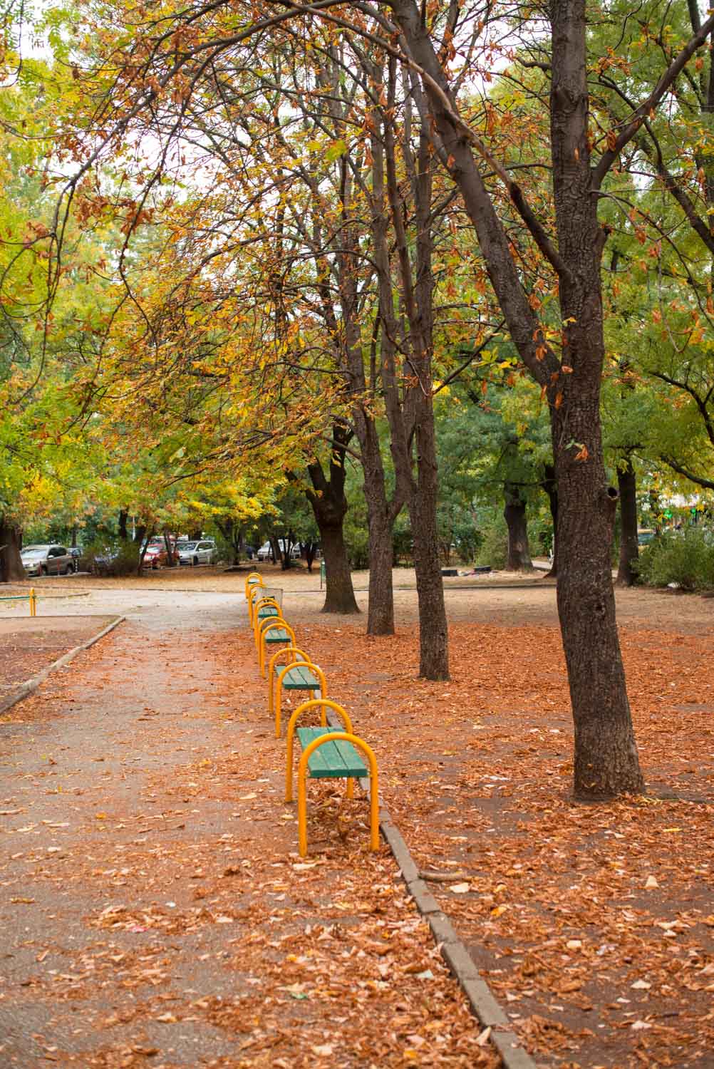 Autumn in the park