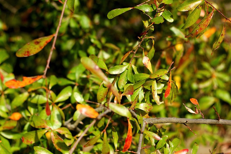 Stacks Image 1147