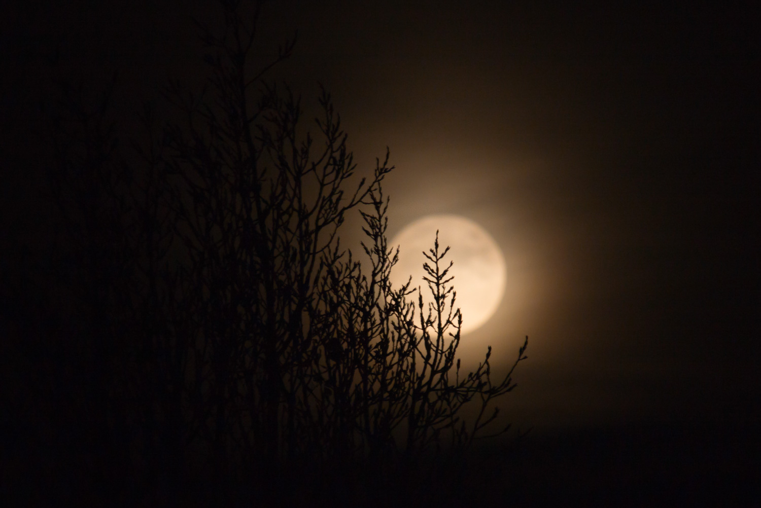 Full moon