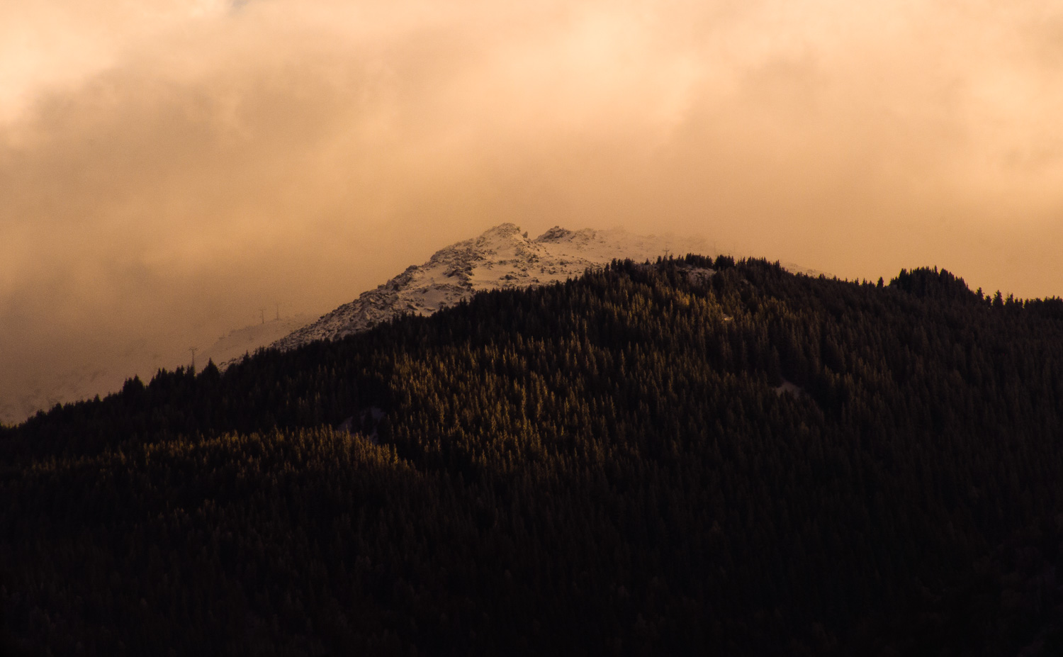 This image was shot with APO-Extender 2x at 200mm