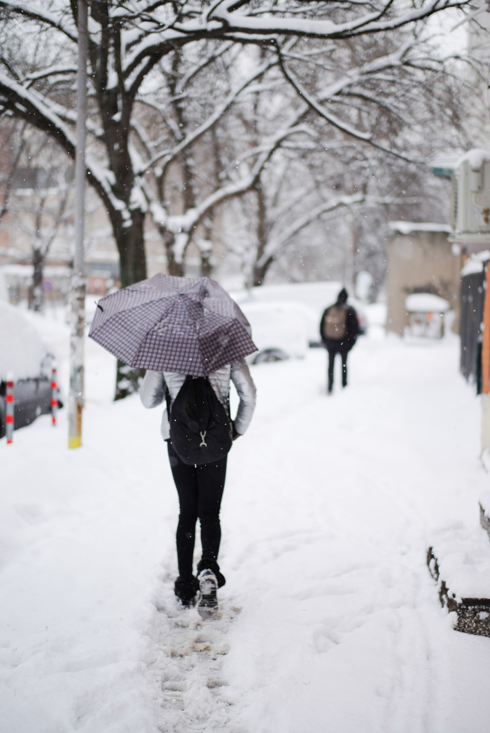 Walking in the snow