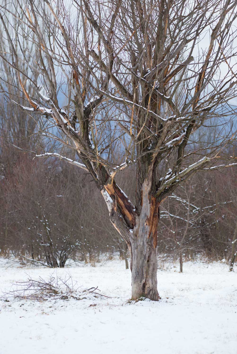 Standing alone