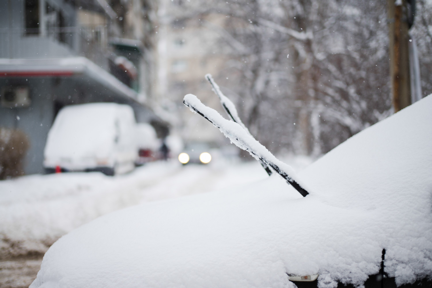 Protecting wipers from frost