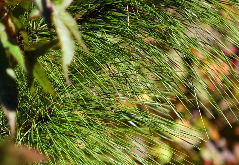 Stacks Image 793
