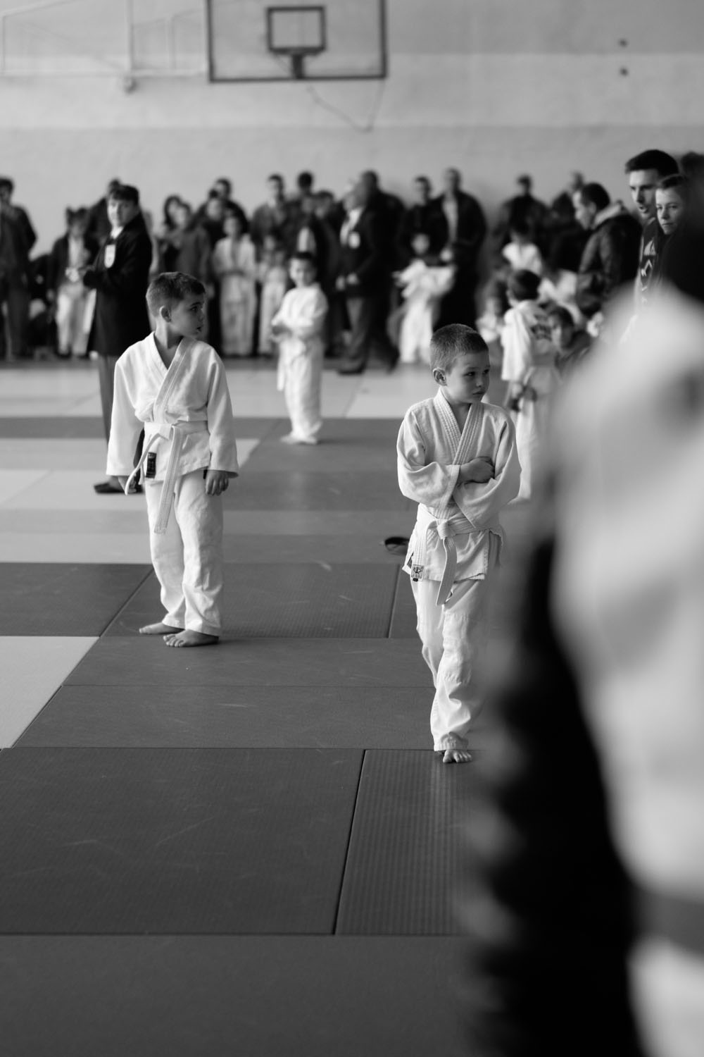 Judo Tournament 26 Nov 2016
