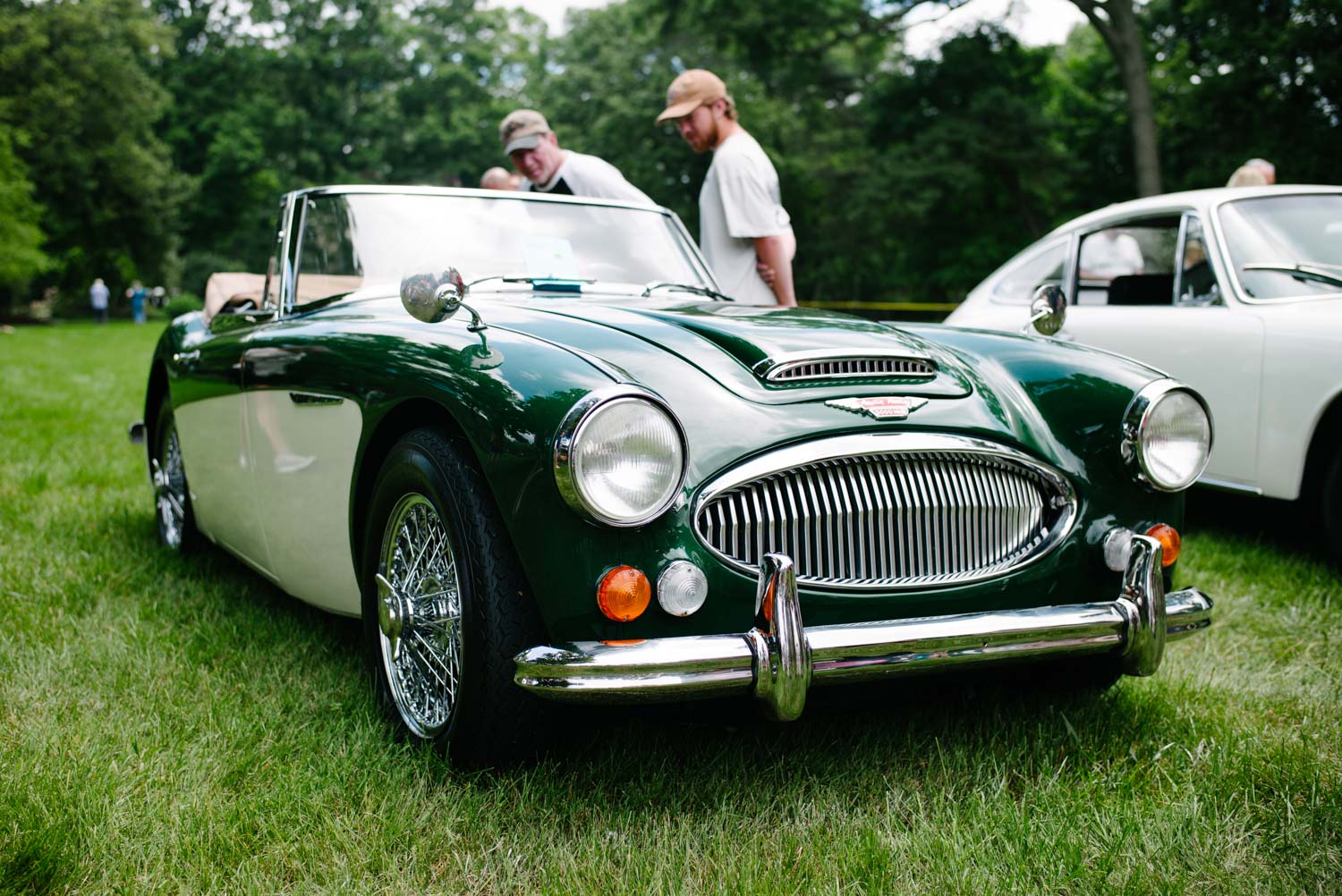Austin-Healey Two-Tone Green Convertible