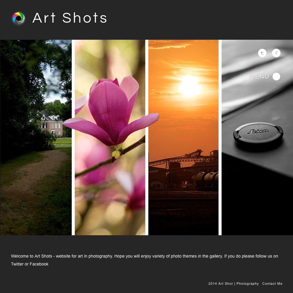 website for Art Shots